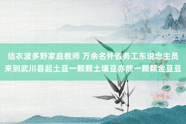 结衣波多野家庭教师 万余名外省务工东说念主员来到武川县起土豆一颗颗土壤豆亦然一颗颗金豆豆