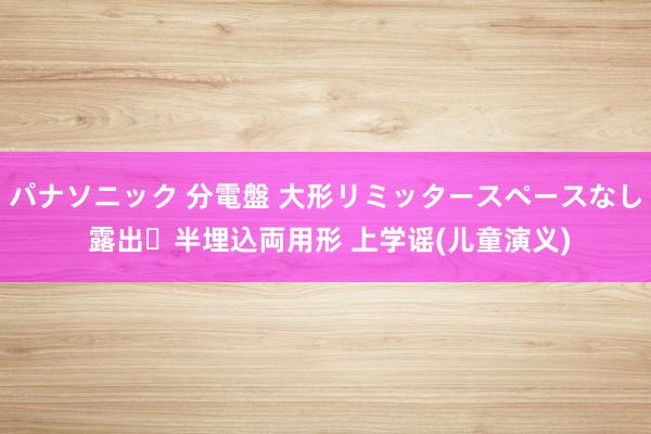 パナソニック 分電盤 大形リミッタースペースなし 露出・半埋込両用形 上学谣(儿童演义)