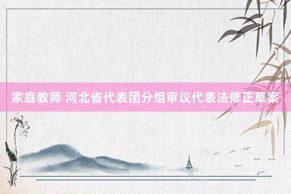 家庭教师 河北省代表团分组审议代表法修正草案