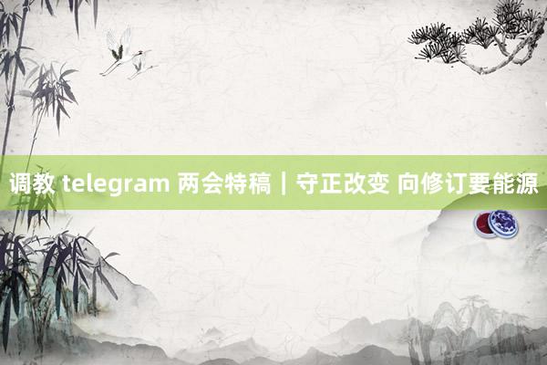 调教 telegram 两会特稿｜守正改变 向修订要能源