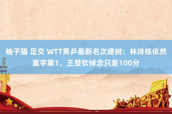柚子猫 足交 WTT男乒最新名次建树：林诗栋依然寰宇第1，王楚钦悼念只差100分