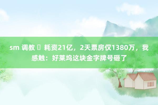 sm 调教 ‌耗资21亿，2天票房仅1380万，我感触：好莱
